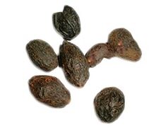 Sabal Palma extract in capsules and drops of Bluestone