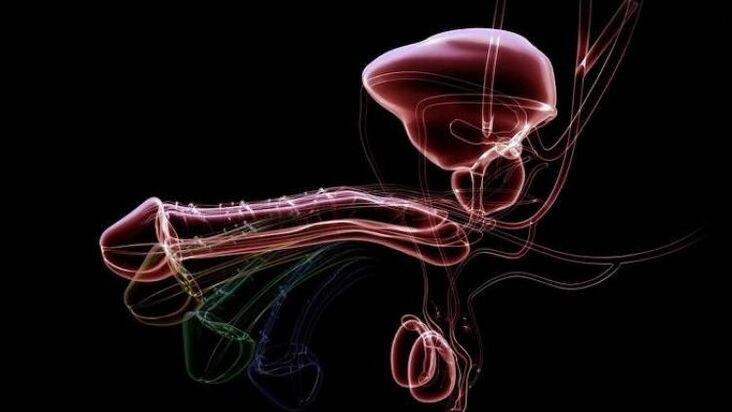 Why does vaginal discharge appear when men are excited and is it normal